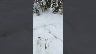 Reviewing an expert ski on the bunny hill Dynastar M Free 108 skiing [upl. by Naujek]