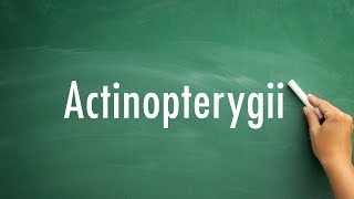 How Do You Pronounce Actinopterygii [upl. by Lianne]