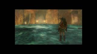 You make friends by burning them 3  The Legend of Zelda Twilight Princess GameCube [upl. by Eidnam]