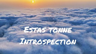 Introspection  estas tonne [upl. by Anesuza]