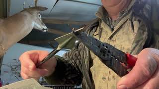 Zwickey Broadhead Delta DANGS [upl. by Wichman385]