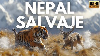 NEPAL  Reino Salvaje del Himalaya  Documental Completo [upl. by Atter]