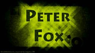 HD Peter Fox  Stadtaffe Album Mix [upl. by Gwyn]