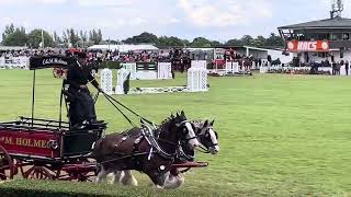 Heavy Horses Pairs  Great Yorkshire Show 2023 [upl. by Saref]