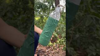 Survival Skills Bottle Reused Simple But Very Useful survival bushcraft shorts [upl. by Ginevra705]