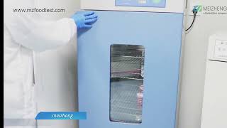 MicroFast® Yeast amp Mold Count Plate Operation Video [upl. by Dorkus]