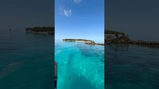 How’s the water around Heron Island Great Barrier Reef [upl. by Atiuqel648]