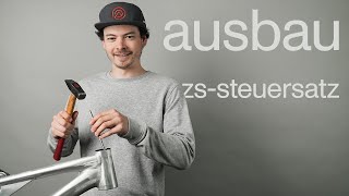 ZSEC steuersatz ausbauen [upl. by Bobette]