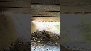 Walking under Matadero Creek beneath highway 101 [upl. by Nosmas758]