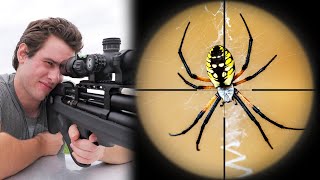 Exploding Giant Spiders with my Air Rifle [upl. by Aicilaf]