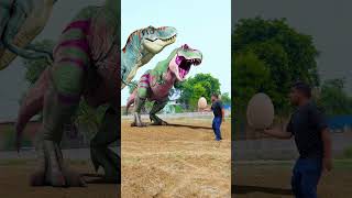 Trex Dinosaur Egg dinosaur dinosaurs jurassicworld [upl. by Wenda]