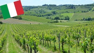 BEAUTIFUL TUSCANY VINEYARDS AND WINERY ITALY [upl. by Trumann]