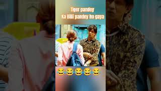 Tiger pandey comedy funny comedy comedyshorts [upl. by Naujet162]