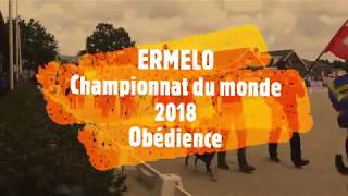 FCI Obedience World Championship Ermelo Netherlands 2018 [upl. by Narda]