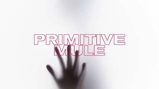 Primitive Mule  DOOMBO [upl. by Eikcid]