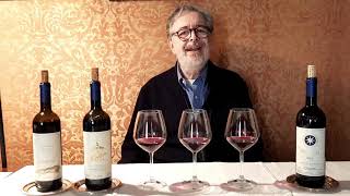 La storia del Sassicaia raccontata da Daniele Cernilli DoctorWine  50 anni Sassicaia [upl. by Longan]