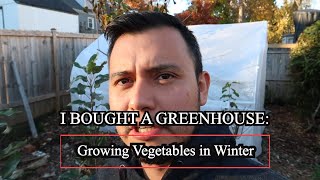 Growing Vegetbales inside a Green House Zone 7a Cheap green house [upl. by Packer889]