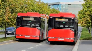 Buses at FORNEBU in OSLO NORWAY [upl. by Muraida738]