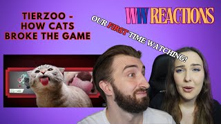 Were finally watching some CATS  Couple reacts to TierZoo How Cats Broke The Game [upl. by Laoj]