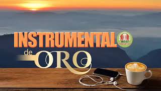 Musica Instrumental de Oro Para Escuchar Grandes Hits Instrumentales [upl. by Iznil169]