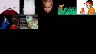 7 Baby Einstein Videos At Once [upl. by Elayor940]