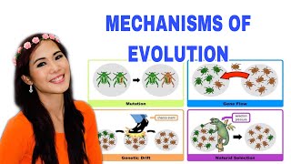 MECHANISMS OF EVOLUTION [upl. by Wane288]