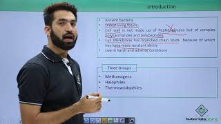 Class 11th – Archaebacteria – Introduction  Biological Classification  Tutorials Point [upl. by Brocklin]