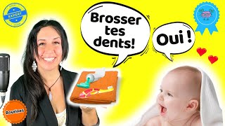 BROSSER LES DENTS chanson brossage et premiers mots 🎵🪥 FRANCAIS POUR LES PETITS French for kids [upl. by Furlong]