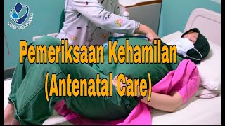 Pemeriksaan Kehamilan  Antenatal Care [upl. by Ecinuahs441]