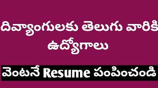 దివ్యాంగులకు ముఖ్యంగా తెలుగు వారికి ఉద్యోగ అవకాశాలు [upl. by Helmer]