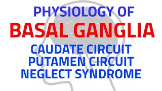 BASAL GANGLIA  CNS PHYSIOLOGY  NEUROPHYSIOLOGY [upl. by Eikkin]