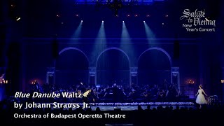 Blue Danube Waltz Johann Strauss II  Salute to Vienna amp Budapest [upl. by Varick257]