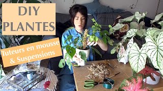 Tuteur plantes en Sphaigne DIY  Suspensions très faciles [upl. by Doherty915]