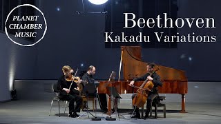 Beethoven Piano Trio «Kakadu Variations»  Faust  Queyras  Melnikov [upl. by Ferino]