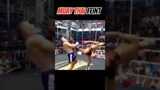 Muay thai Feint Kickmuaythai martialarts kicktechniques kickboxing shortsfeed kick streaming [upl. by Eidnim]