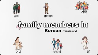 Family members in Korean  Korean vocabulary for beginners Lets learn together vocabulary topik [upl. by Hukill]