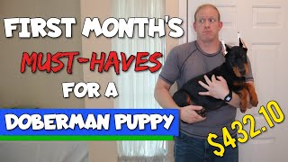 Getting a Doberman Puppy Heres What You NEED to Get [upl. by Carry76]