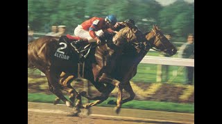 AFFIRMED Belmont Stakes G1 1978 [upl. by Ellenwad]