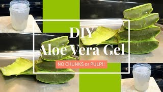 Homemade Aloe Vera Gel NO CHUNKS  DIY  TheLifestyleLuxe [upl. by Els]