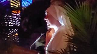 Sister Tonia Borsellino chanting the Exsultet Easter Vigil 2019 [upl. by Alhak]