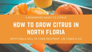 How to Grow Citrus in North Florida  A Beginners Guide to Citrus [upl. by Jemie]