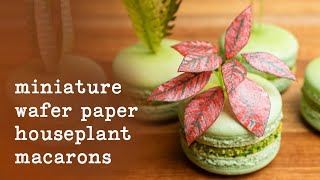 Miniature Wafer Paper Houseplant Macarons Tutorial [upl. by Swann]