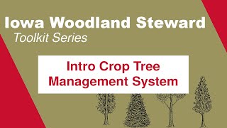 Introduction to Crop Tree Management System Iowa Woodland Steward Toolkit Series [upl. by Greer]