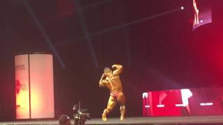 Mr Olympia 2015 Hidetada Yamagishi [upl. by Ellehcin]