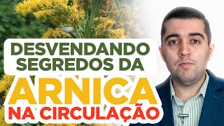 Arnica impacto surpreendente da natureza na má circulação e história da planta que curou gerações [upl. by Lashonde]