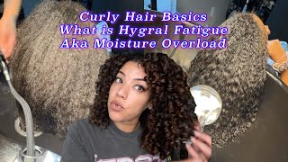 Curly Hair Basics What is Hygral FatigueMoisture Overload amp How to Fix It hairdamage [upl. by Pfosi]