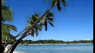 Fijian Song and Lyrics  Seni Mokosoi  Toberua Serenaderswmv [upl. by Lib]