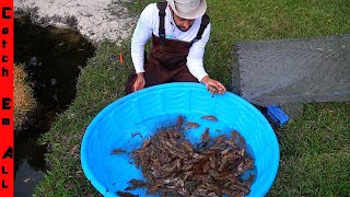 CATCHING 100s of GIANT CRAWFISH in FISH TRAP  Diy BACKYARD SWAMP POND [upl. by Loesceke]