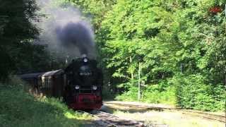 Dampf über dem Harz 23  die HSB  Dampfloks  Steam Trains [upl. by Annaeirb]