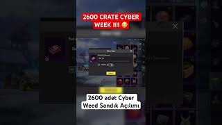 2600 CRATE CYBER WEEK Pubg Mobile 2025 😳  pubg pubgm pubgindia pungmobile pubgmobilemadgala [upl. by Langill]